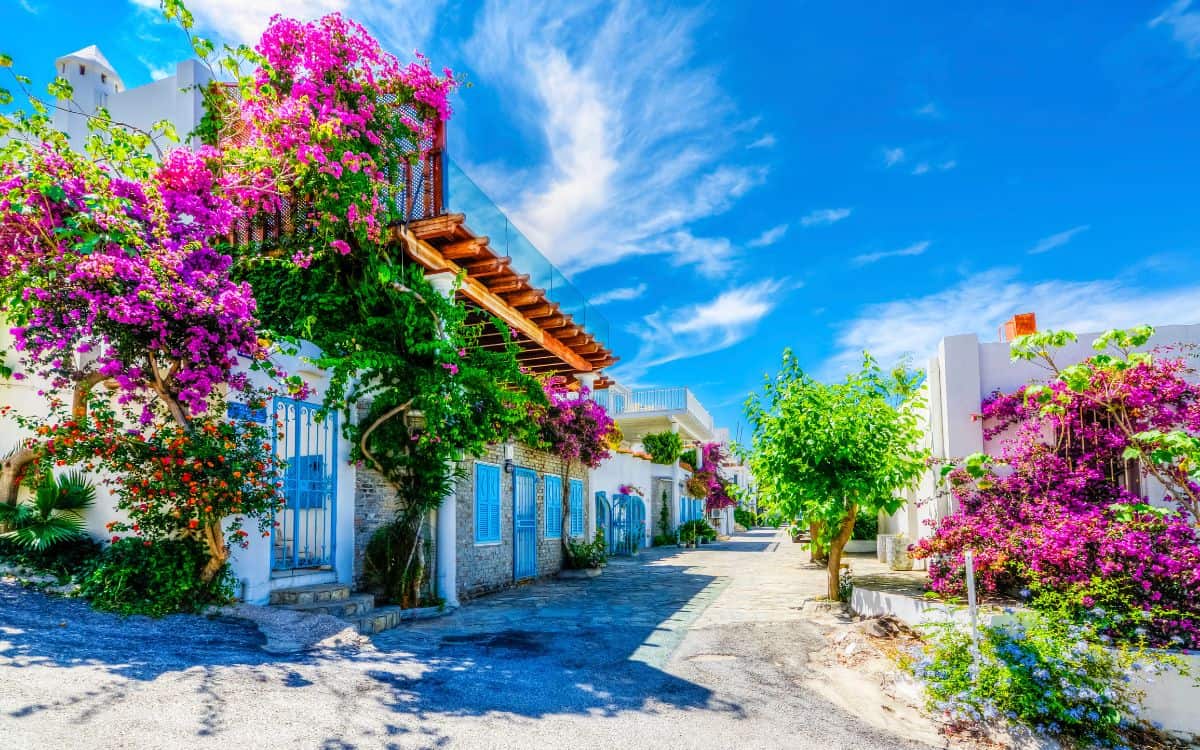 Guide to Choosing the Perfect Retirement Beach Town
